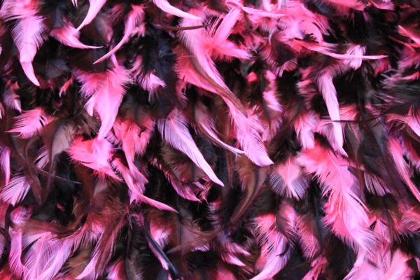 Pink and Black Feathers on Silk Chiffon fabric, image 3 of 5