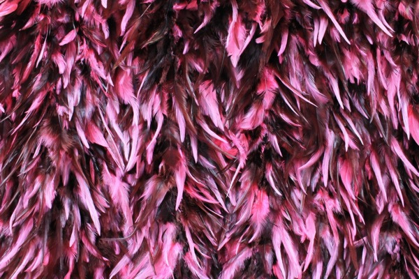 Pink and Black Feathers on Silk Chiffon fabric, image 2 of 5