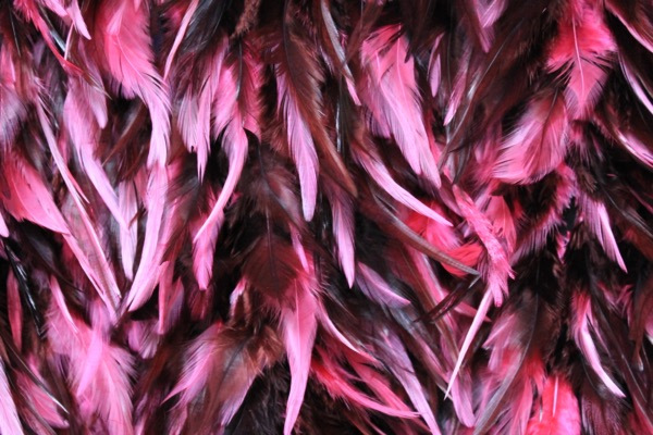 Pink and Black Feathers on Silk Chiffon fabric