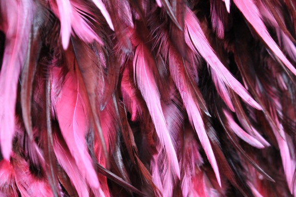 Pink and Black Feathers on Silk Chiffon fabric, image 4 of 5