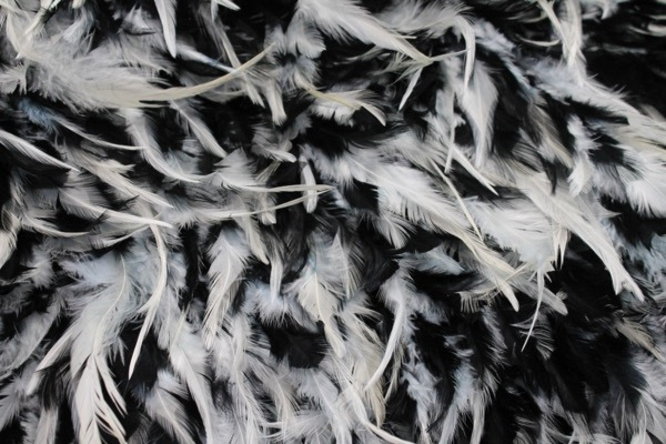 Black and White Feathers on Silk Chiffon fabric, image 5 of 5