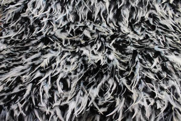 Black and White Feathers on Silk Chiffon fabric, image 2 of 5