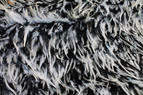 Black and White Feathers on Silk Chiffon fabric, image 4 of 5