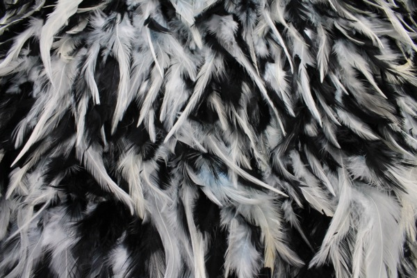 Black and White Feathers on Silk Chiffon fabric