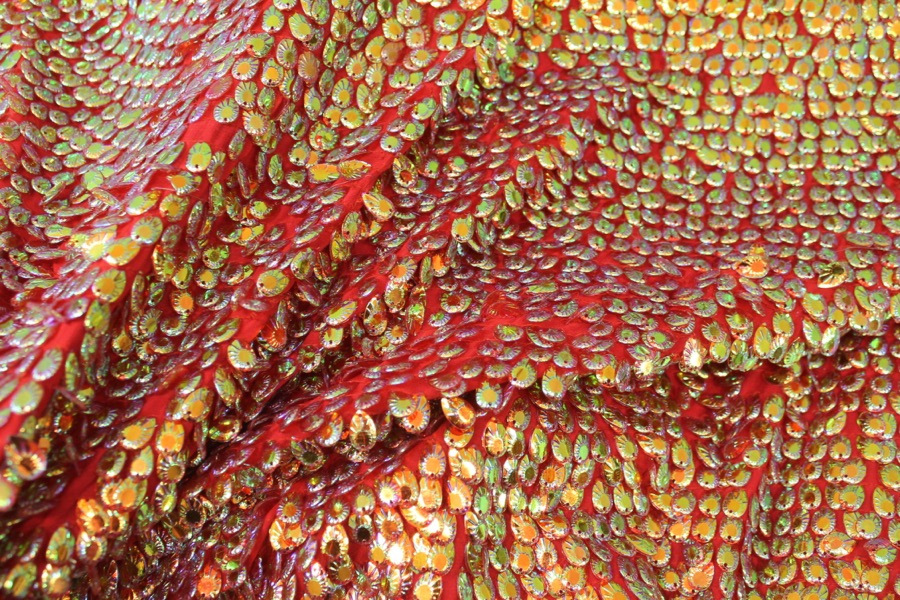 Dragon Scale Sequin in Iridescent Red On Silk Chiffon fabric, image 6 of 7