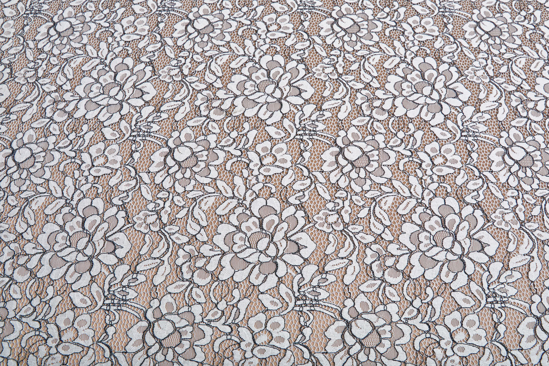 Cream Leavers Lace w/Black Cording - Double Scallop fabric, image 2 of 8