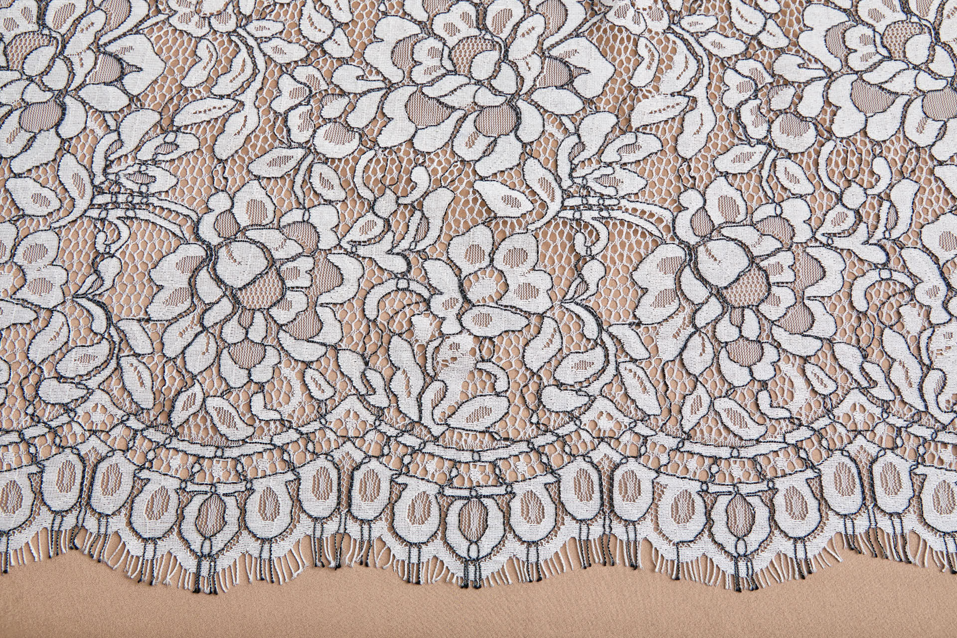 Cream Leavers Lace w/Black Cording - Double Scallop fabric, image 5 of 8