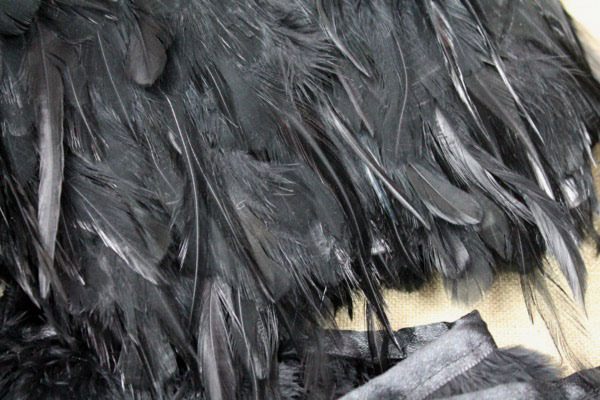 Feather Trim - Black, image 2 of 4