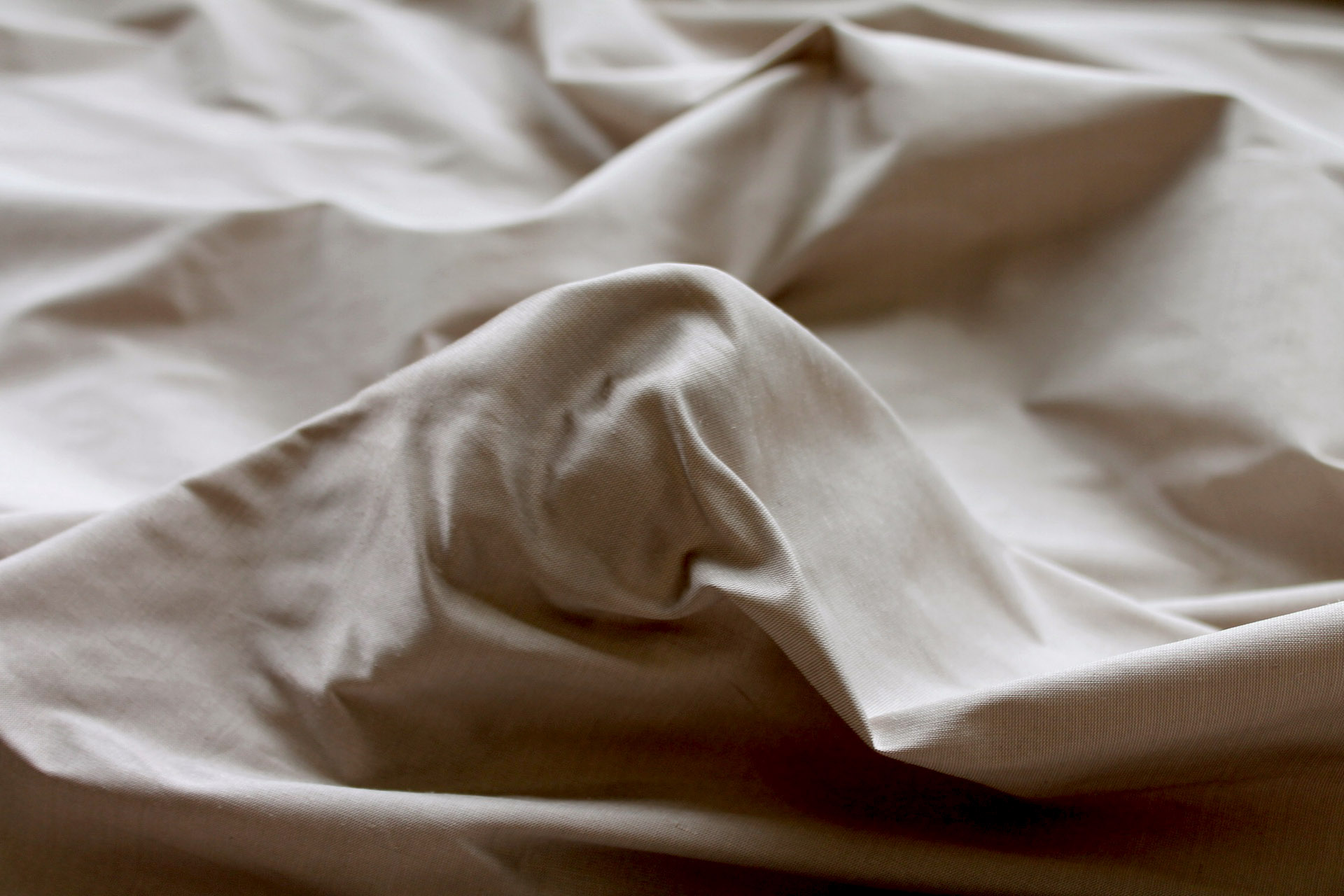 Silk Dupion - Oyster - B99 fabric, image 4 of 6