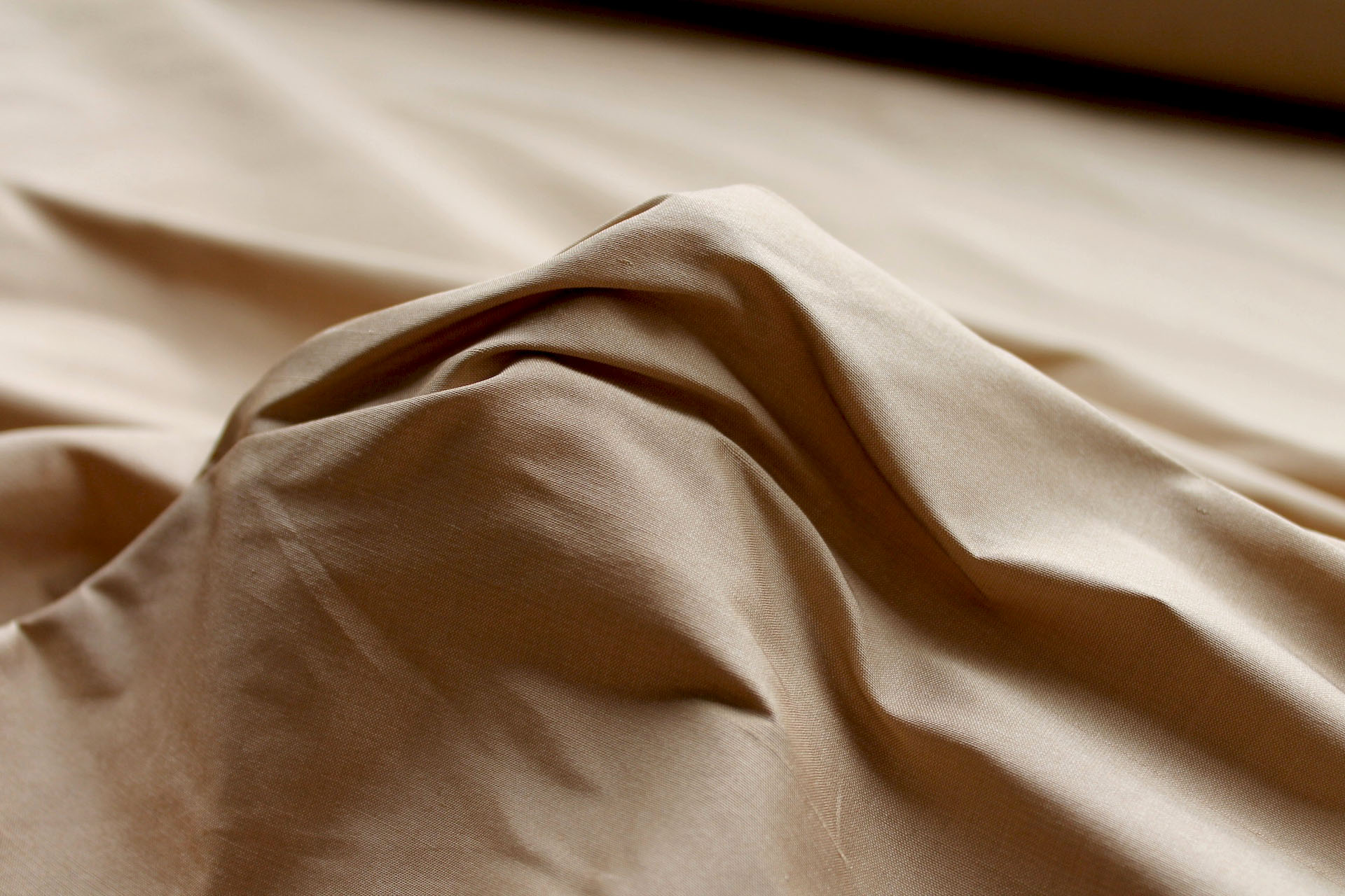 Silk Dupion - Pale Gold - B07 fabric, image 4 of 6