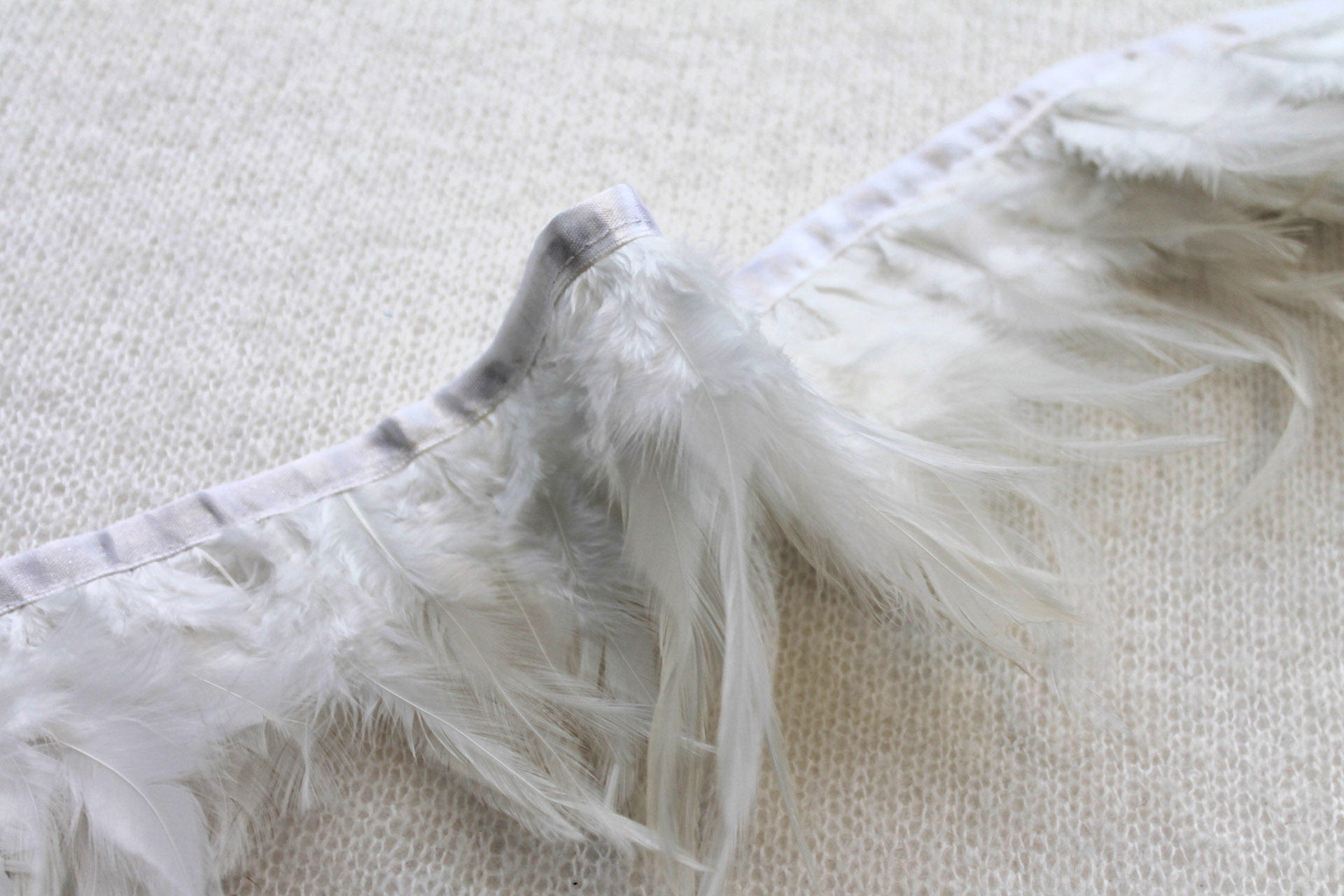 Feather Trim - Ivory