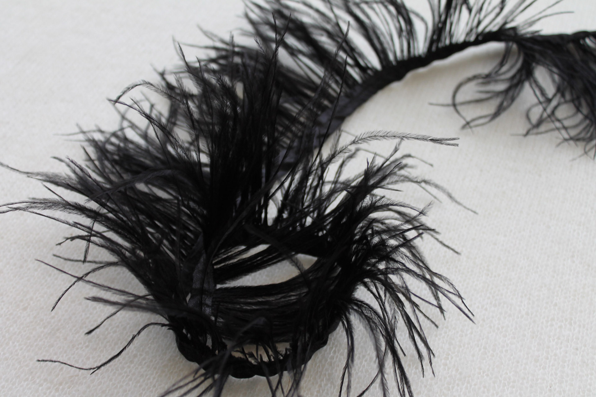 Ostrich Feather Trim - Black, image 3 of 3