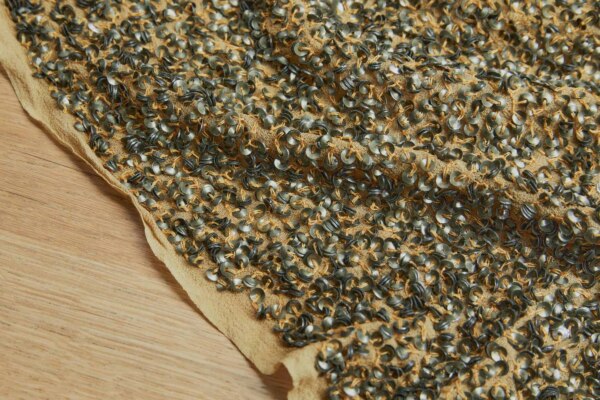 Sequin Encrusted Silk Chiffon - Tarnished Silver Ochre fabric