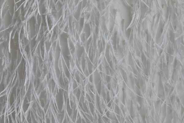 Beads and Ostrich Feathers on Tulle - Ivory fabric