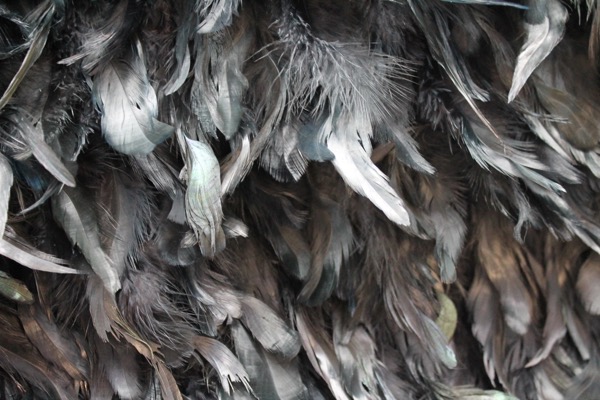 Black Feathers on Silk Chiffon fabric