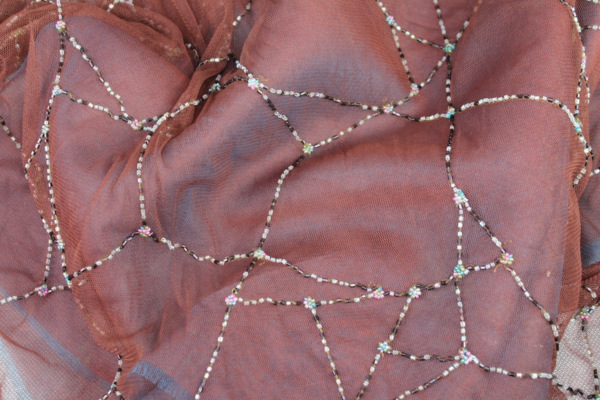 Brown Tulle with Multi Colour Beaded Lines fabric