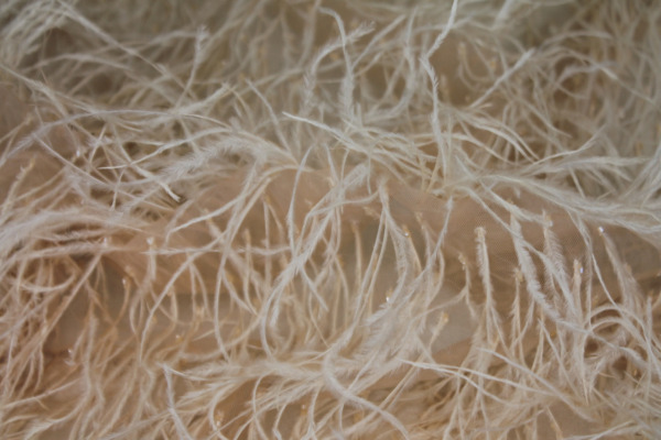 Beads and Ostrich Feathers on Tulle - Nude fabric