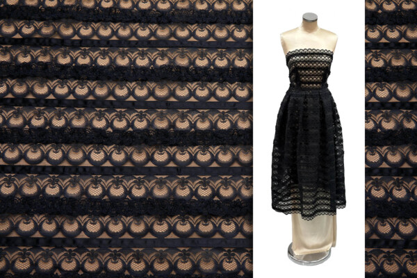 Poison Apple Lace Stripe with Applique in Black