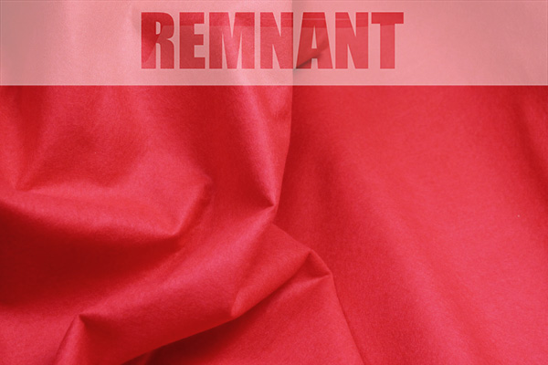 Craft Felt - Red - 1m piece