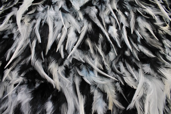 Black and White Feathers on Silk Chiffon fabric