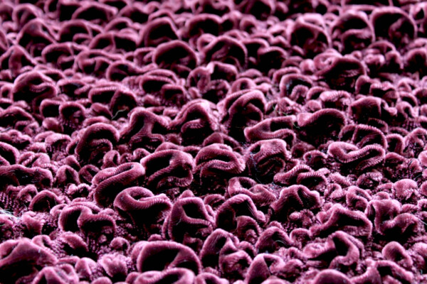 "Bubble" Shirred Silk Velvet - "Prune" fabric
