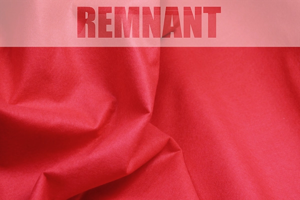 REMNANT - Craft Felt - Red - 1m piece