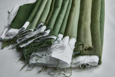 Sustainable and Alternative Fibre Fabrics